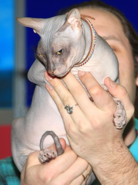 Heimtiermesse  034.jpg